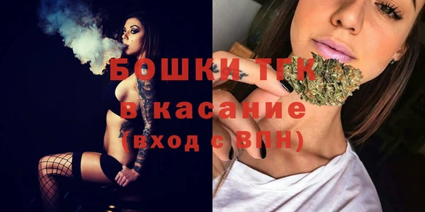 PSILOCYBIN Гусиноозёрск