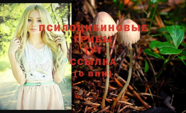 jwh Гусев
