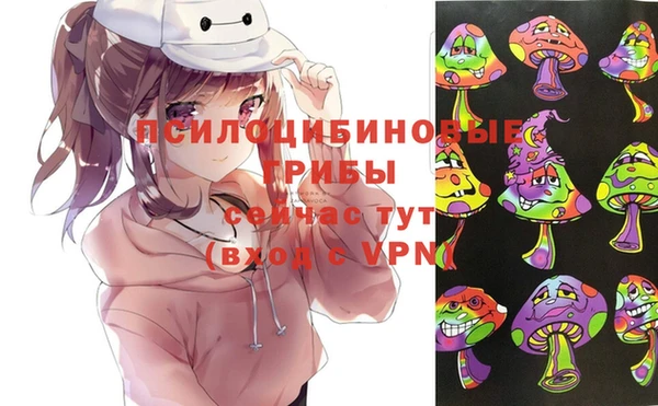 сатива Гусь-Хрустальный