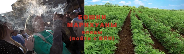 PSILOCYBIN Гусиноозёрск