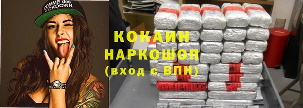 сатива Гусь-Хрустальный