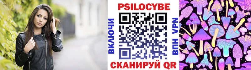 Купить закладки  Рошаль  Галлюциногенные грибы Psilocybine cubensis 